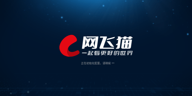 网飞猫