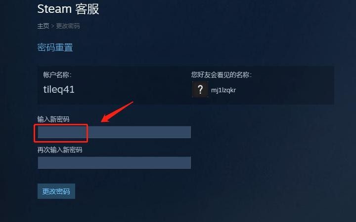 steam密码设置要求-steam如何设置密码